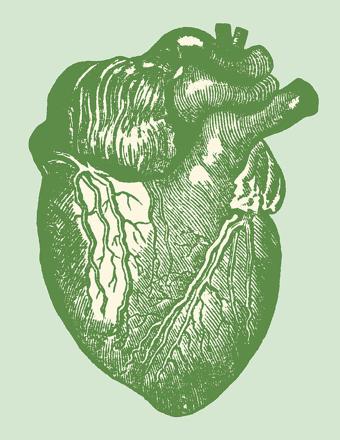 Heart Drawing by CSA-Archive