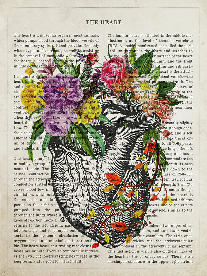 Heart Flower Anatomy Print, Medical Poster, Cardiologist Gift idea,  Cardiology Decor, Medical School Digital Art by Aged Pixel - Pixels