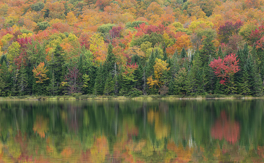 Heart Lake Fall Foliage Photograph by Fran Gallogly