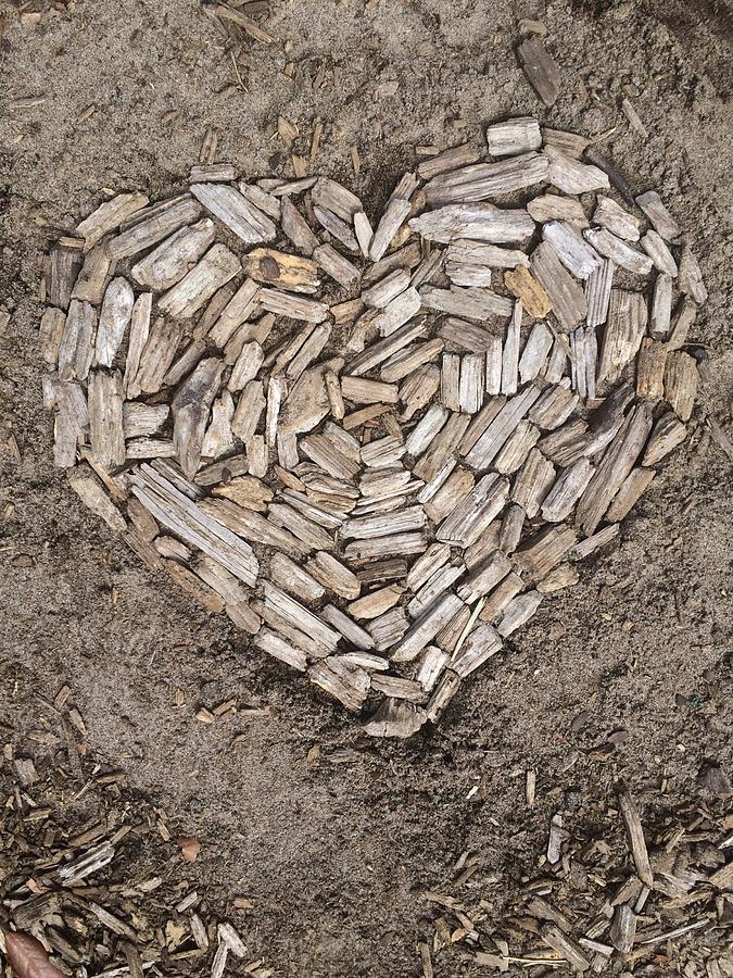 Heart made with firewood Photograph by Donna Schwartz / FOAP