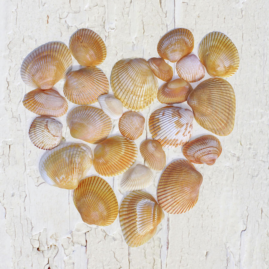 Heart of Gold Photograph by Kathi Mirto