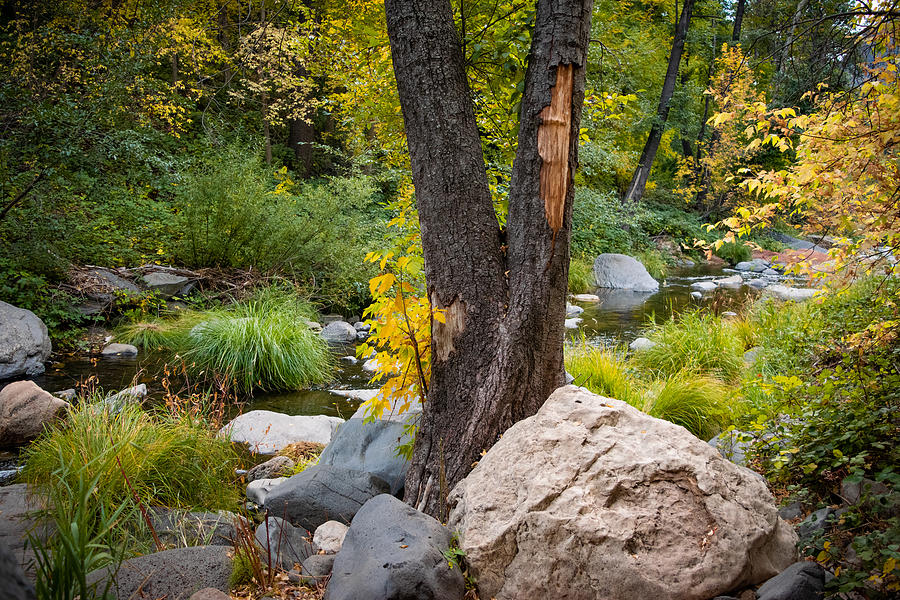 Heart Of The Canyon Photograph