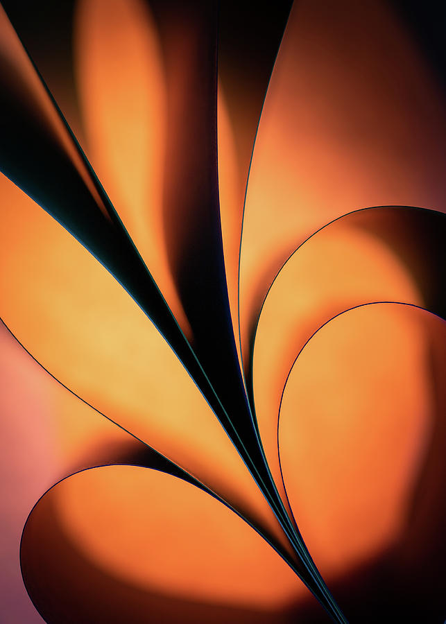 Heart On Fire - Paper Abstract Photograph by Elvira Peretsman