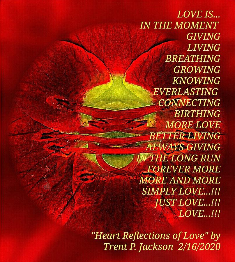 Heart Reflections of Love Digital Art by Trent Jackson