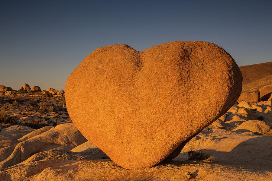 Heart Rock Photograph by Kunal Mehra