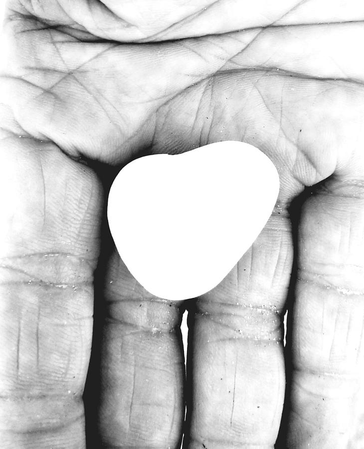 Heart Rock Photograph by Pallah Baker