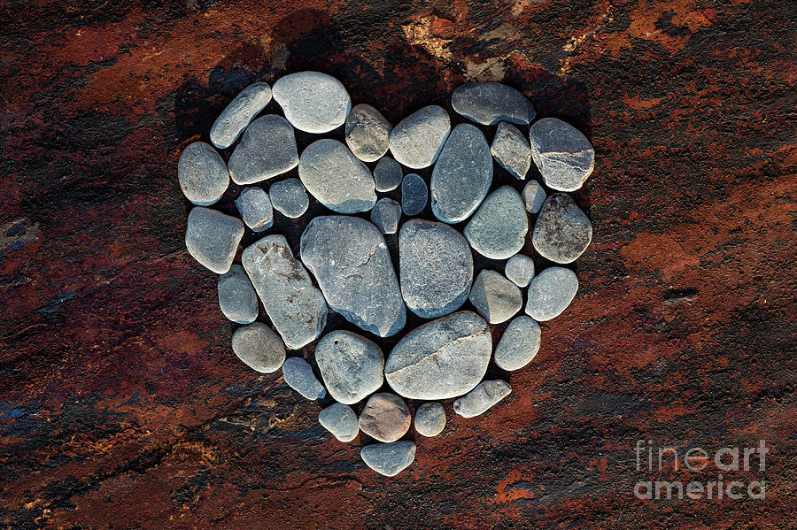 Heart Shape Pebbles Photograph by Tim Gainey