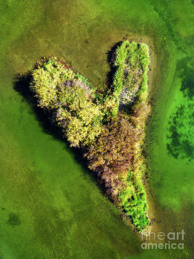 Heart Shaped Island in Water Lake River Aerial Drone View Photograph by Lane Erickson