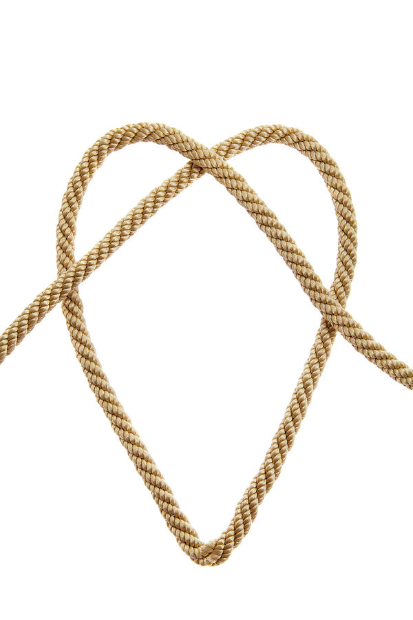 Heart Shaped Knot On A Golden Rope Photograph
