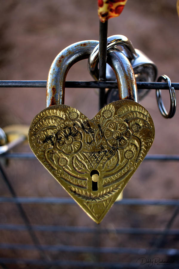 Heart Shaped Love Lock Photograph