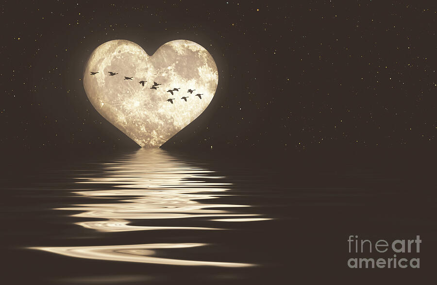 Heart-Shaped Moon Canvas Print / Canvas Art by Elisabeth Lucas - Fine Art  America