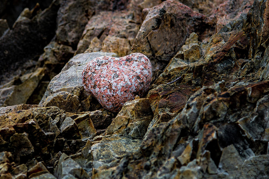 Heart Shaped Rock Photograph by Denise Kopko
