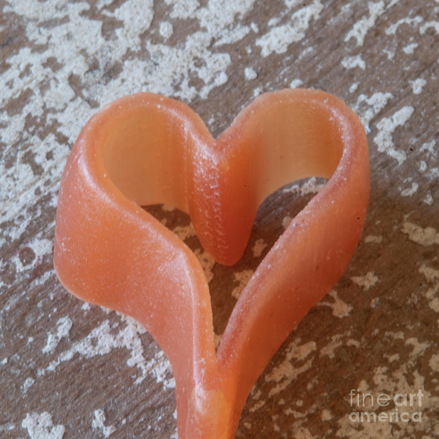 Tomato Photograph - Heart Shaped Tomato Pasta Macro by Elisabeth Lucas