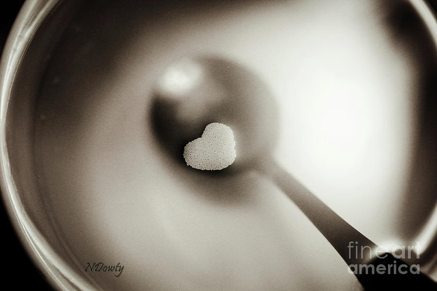 Heart Soup Photograph by Natalie Dowty