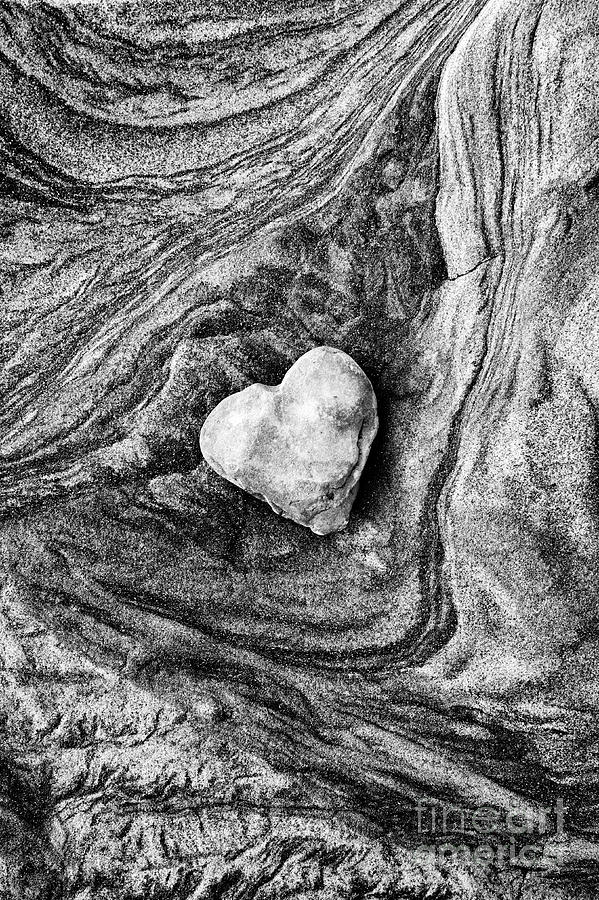 Heart Stone Monochrome Photograph by Tim Gainey