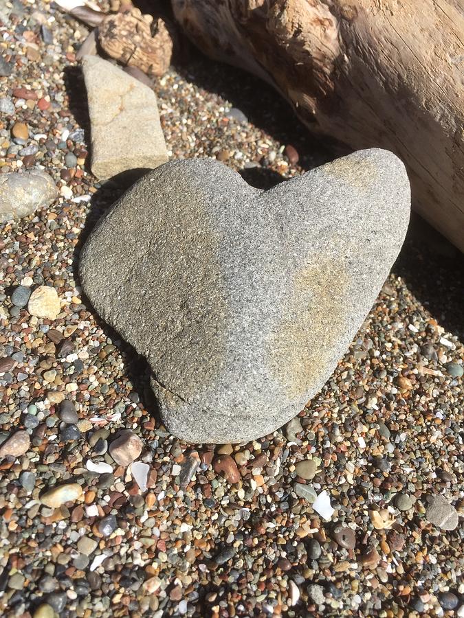 Heart Stone Pebble Beach Photograph by Sandy Rakowitz