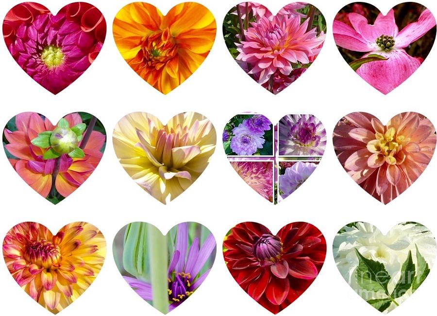 Hearts Of Flowers Photograph