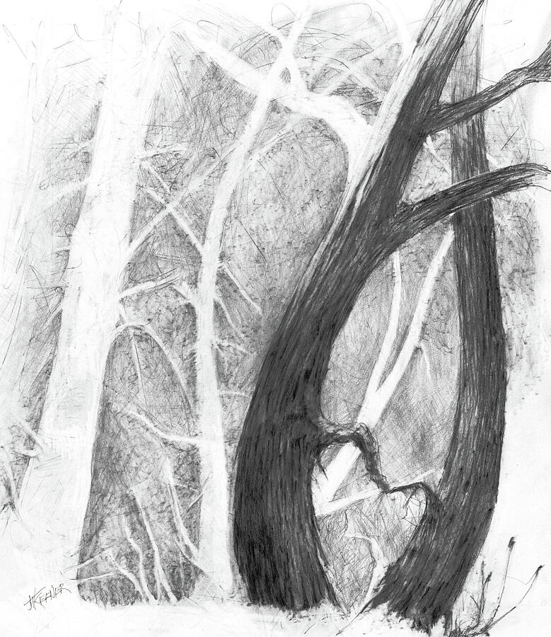 Heartwood Drawing by Joel Keener Heartwood Drawing by Joel Keener