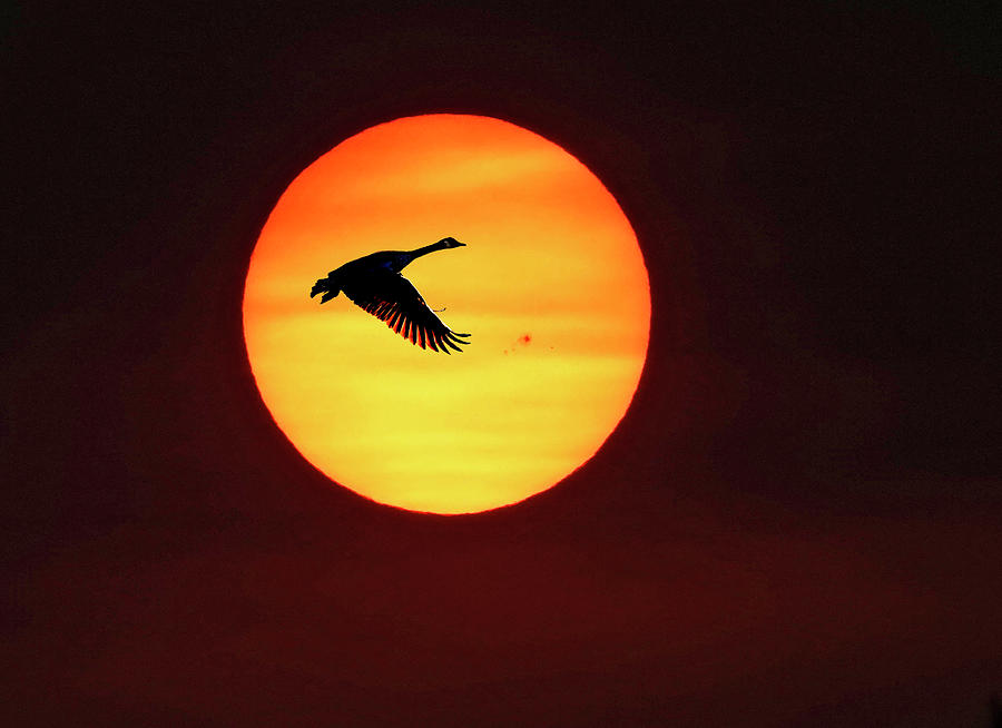 Heat Wave Morning Photograph by Buddy Mays - Fine Art America