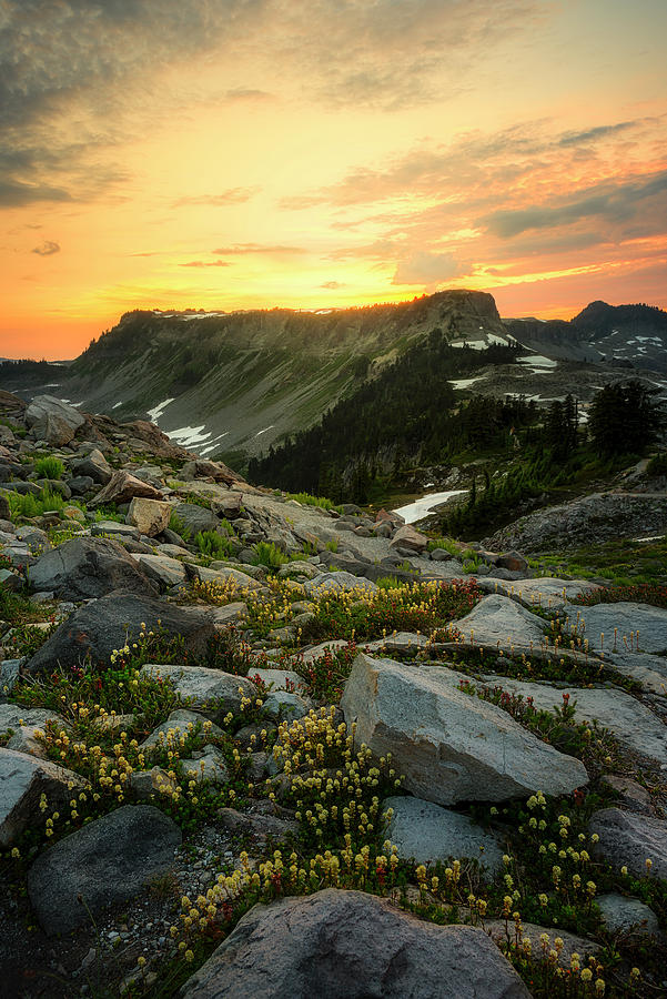 Heather Meadows Sunset Photograph by Ryan Manuel