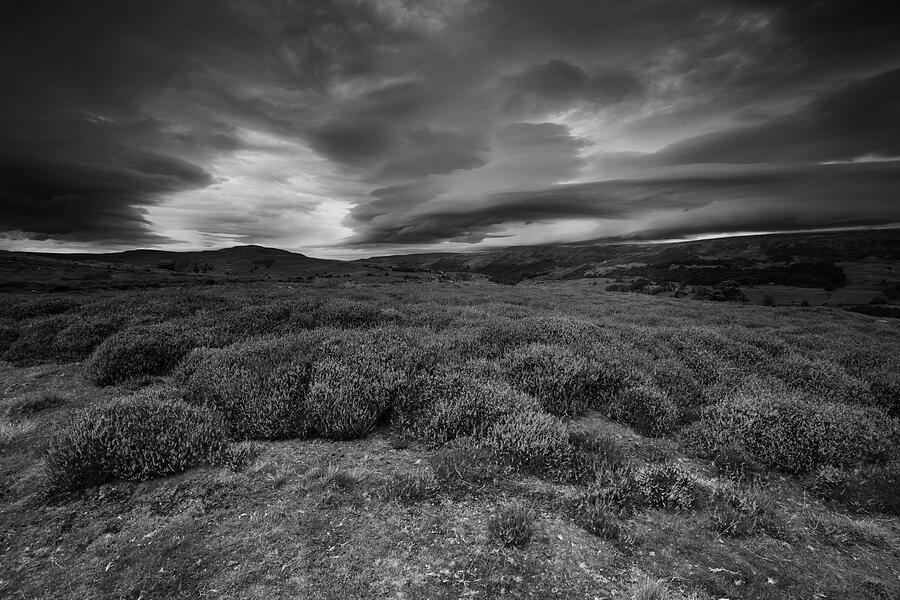 Heather Moorland, Grinton, North Yorkshire Photograph by David Handson Heather Moorland, Grinton, North Yorkshire Photograph by David Handson