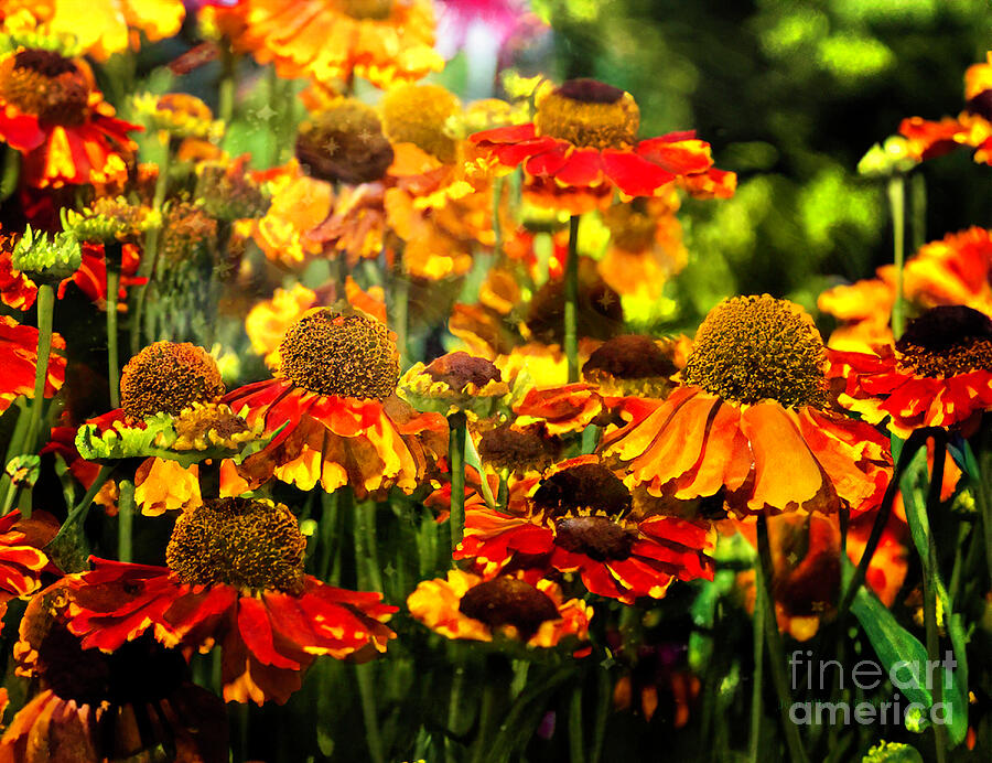 Heaven On Earth Digital Art by Macro Abundance Art Heaven On Earth Digital Art by Macro Abundance Art