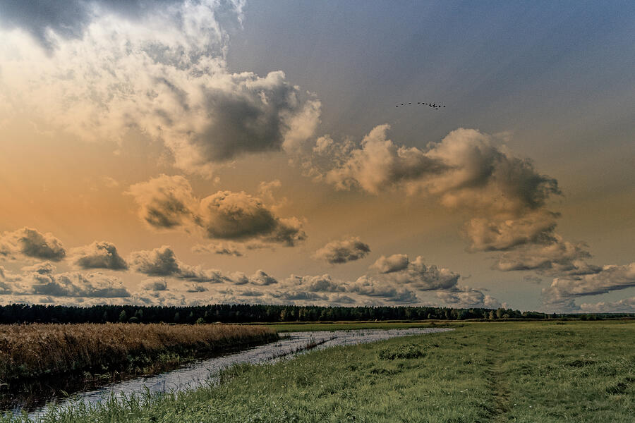Heavenly Fall Flights Latvia  Photograph by Aleksandrs Drozdovs