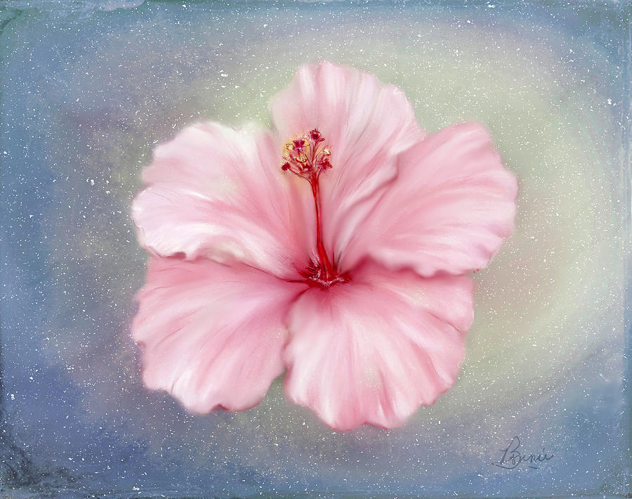 Heavenly Hibiscus flower Digital Art by Bonnie Willis