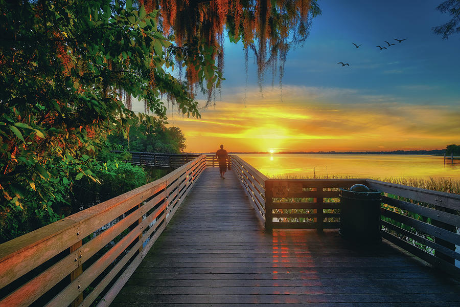 Heavenly Palm Island Boardwalk at Sunset Mount Dora Florida Photograph by Kim Seng