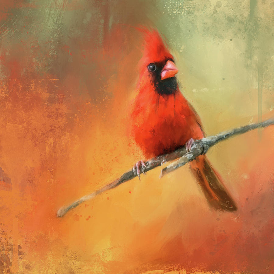 Heavenly Visitor Cardinal Painting by Jai Johnson