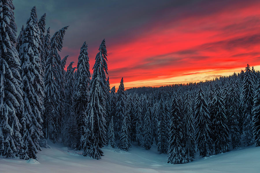 Heavens In Flames Photograph by Evgeni Dinev