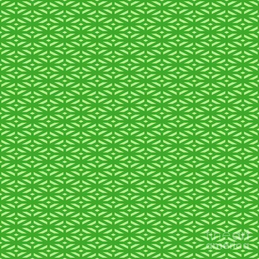 Heavy Diamond Cross Lattice Pattern in Light Apple And Grass Green n.2712 Painting by Holy Rock Design
