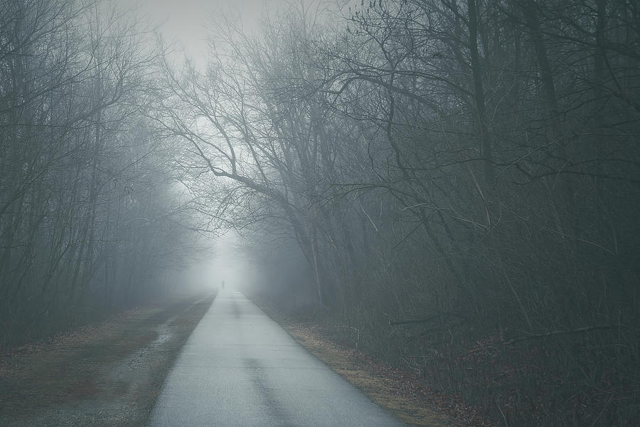 Heavy Fog Photograph by Scott Norris - Fine Art America