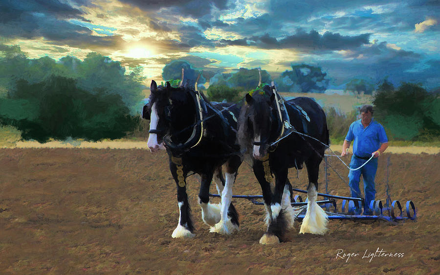 Heavy Horse Ploughing Digital Art by Roger Lighterness