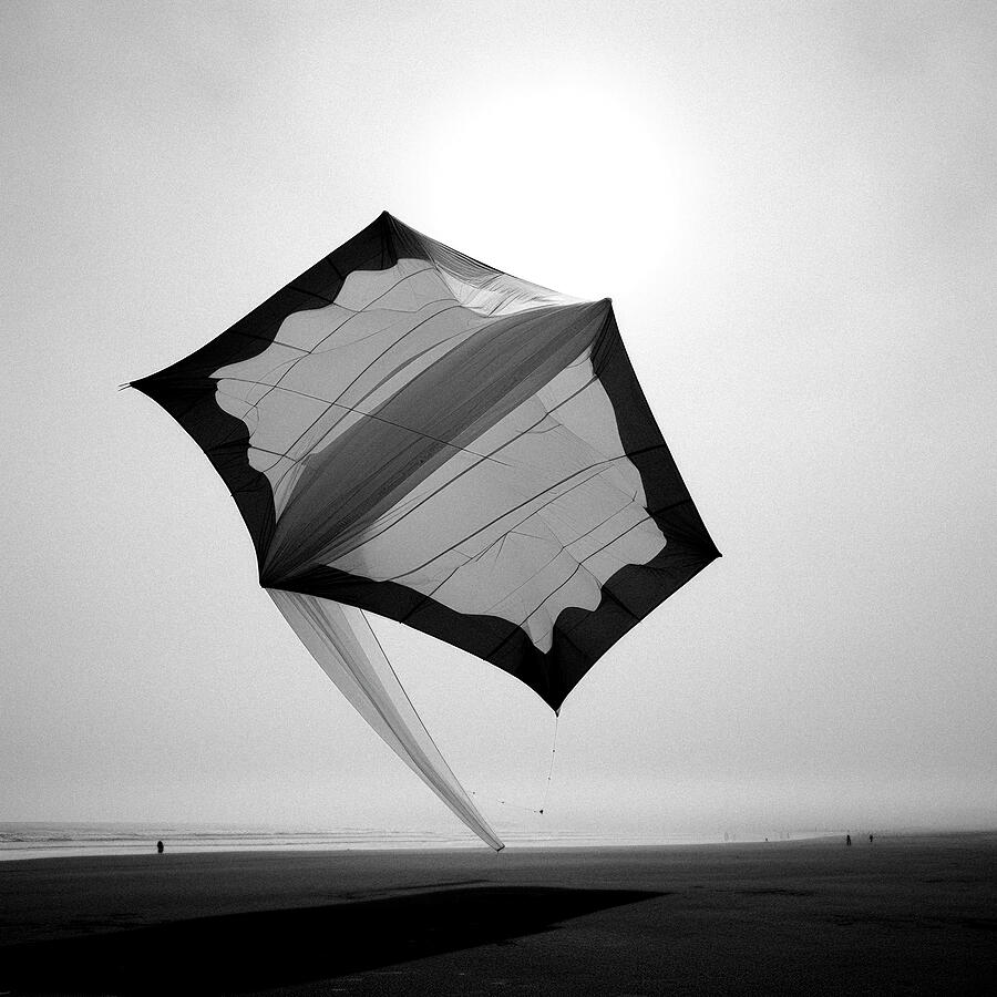 Black And White Digital Art - Heavy Windsail Kite in Beach Fog by Yo Pedro