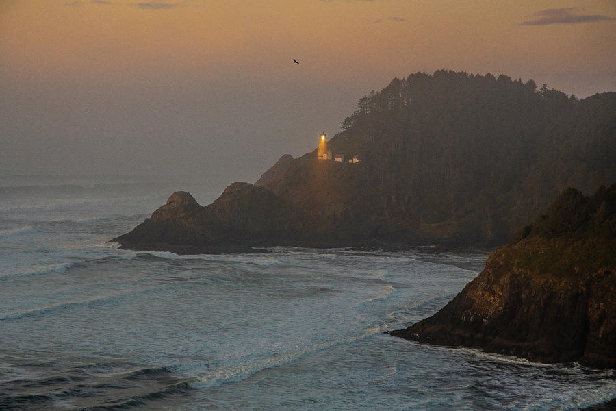 Heceta Head Light Sunset by Matthew Irvin Heceta Head Light Sunset by Matthew Irvin
