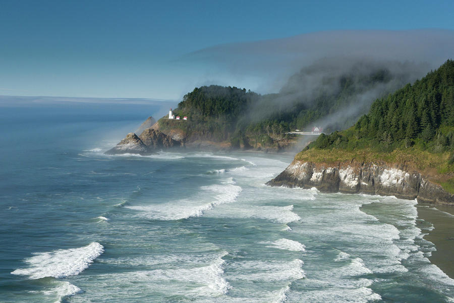 Heceta Head lighthouse Photograph by David L Moore