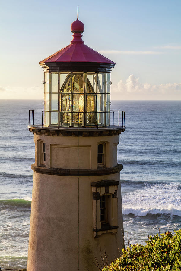 Heceta Head Lighthouse in the Evening Light Photograph by Catherine Avilez