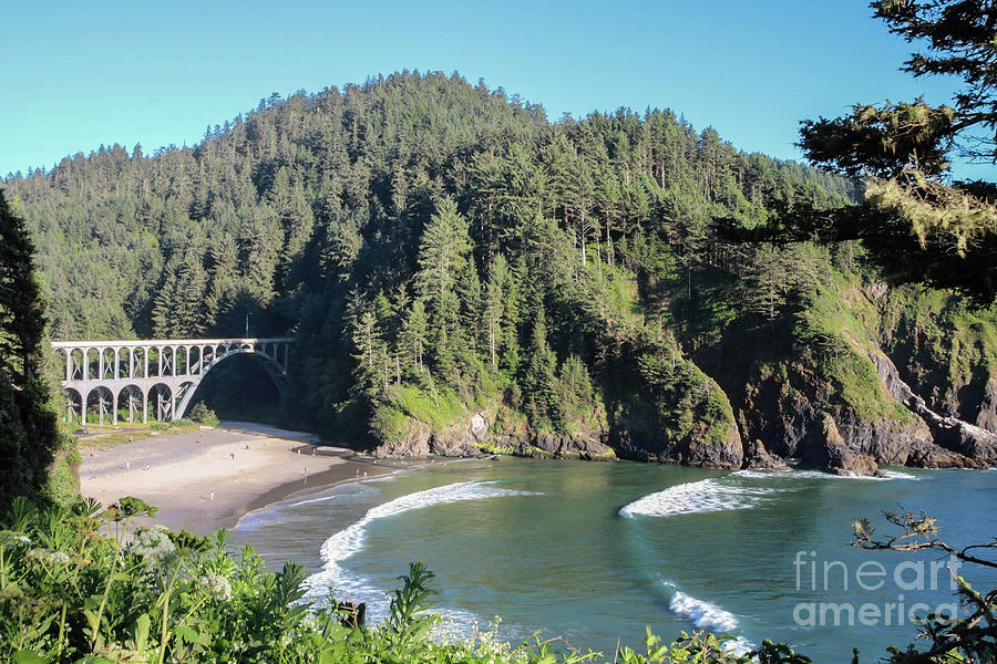 Heceta Head Seascape Photograph by Suzanne Luft