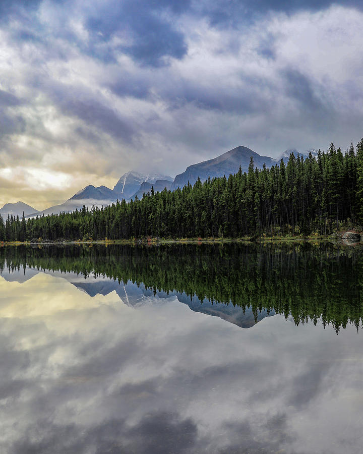 Hector Lake Canada Vertical Reflection Photograph by Dan Sproul