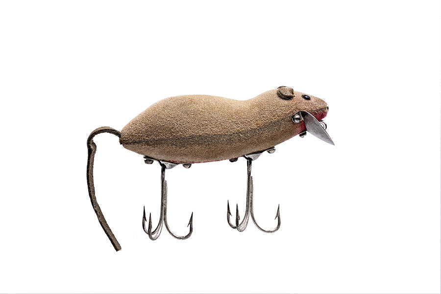 Heddon Meadow Mouse Fishing Lure • Japanese Market Special – Toad