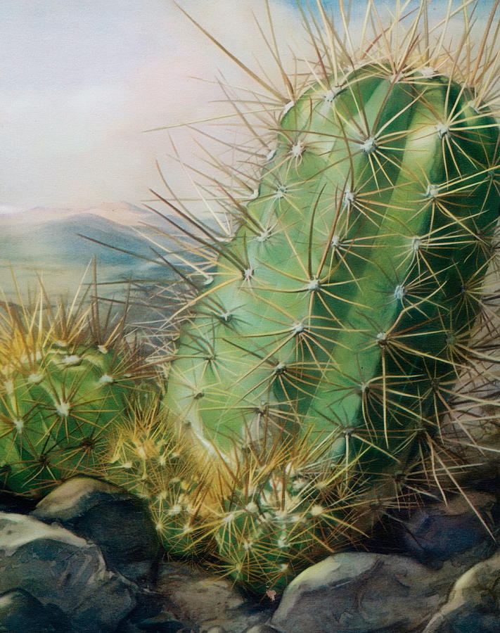 Hedgehog Cactus Digital Art by Susan Hope Finley