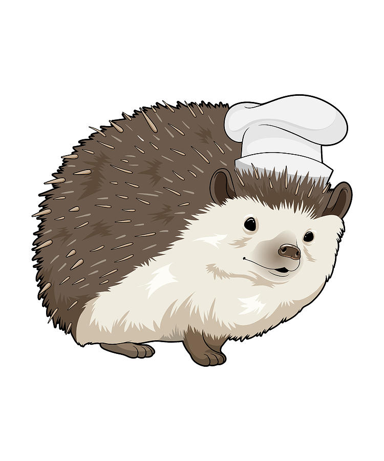 https://images.fineartamerica.com/images/artworkimages/mediumlarge/3/hedgehog-cook-chef-hat-markus-schnabel.jpg