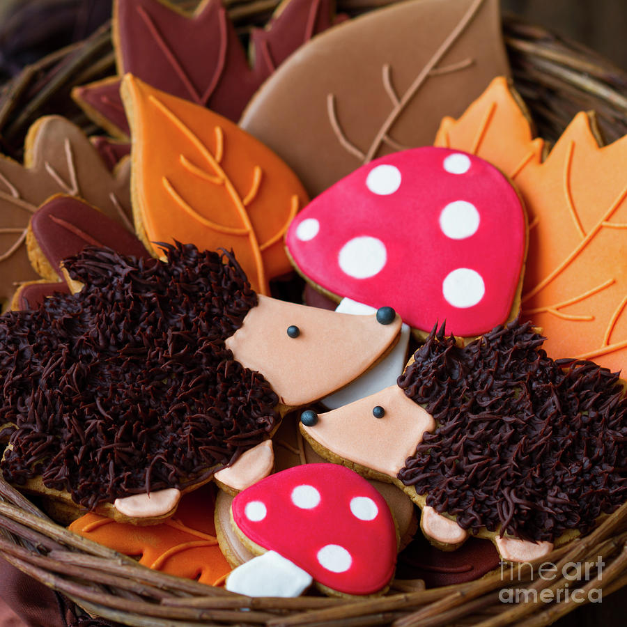 Cookie Photograph - Hedgehog cookies by Ruth Black