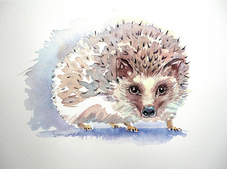 Hedgehog Painting - Hedgehog by Luisa Millicent