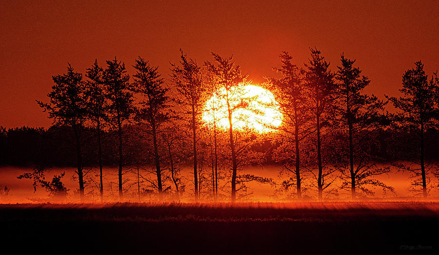 Hedgerow Sunrise 2 Photograph by Marty Saccone