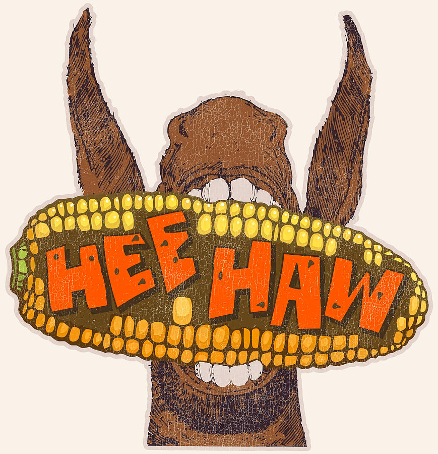 Hee Haw Poster retro Painting by Danielle Pete | Fine Art America