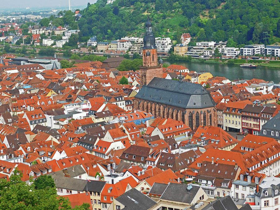 Heidelberg from Above  Photograph by Emmy Marie Vickers