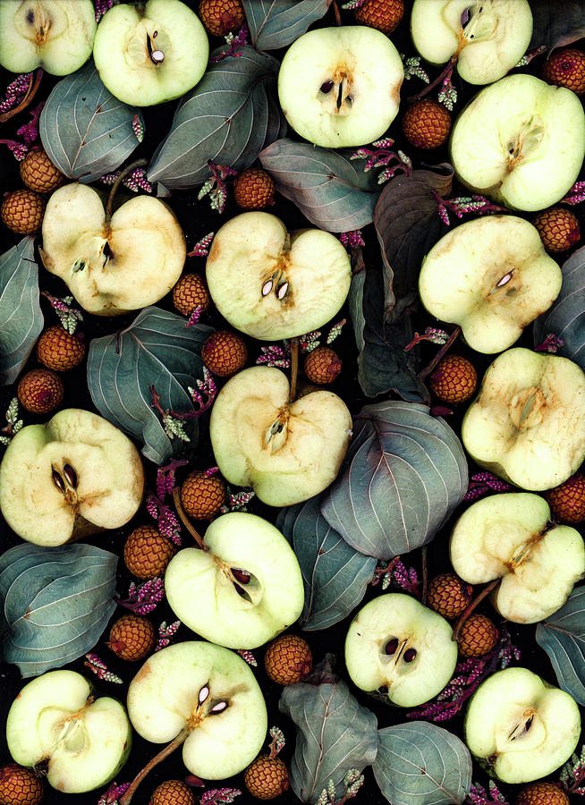 Heirloom Apples Photograph by Sarah Phillips