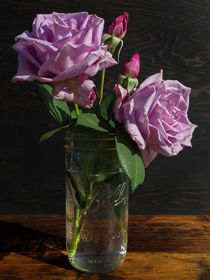 Heirloom Lavender Roses in Mason Jar on Antique Wood background Photograph by Kathy Anselmo